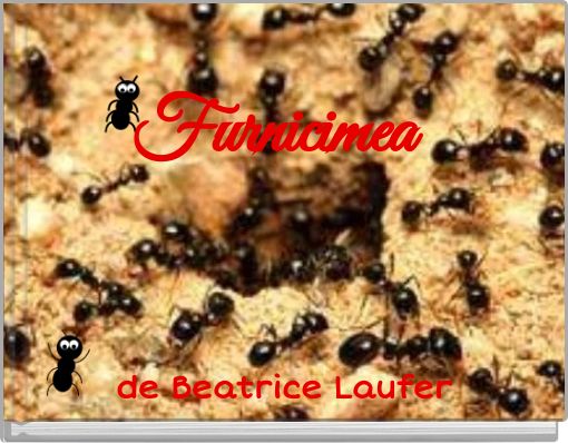 Furnicimea