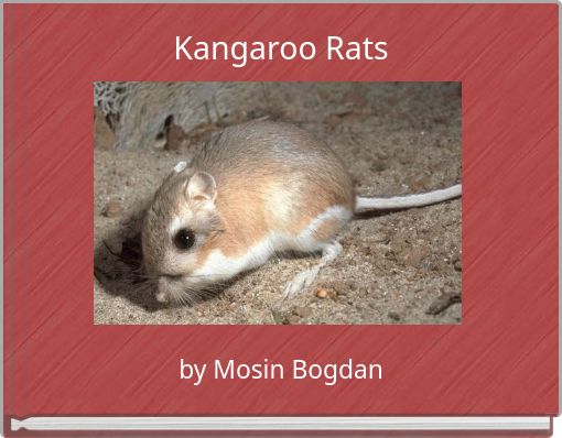 Kangaroo Rats