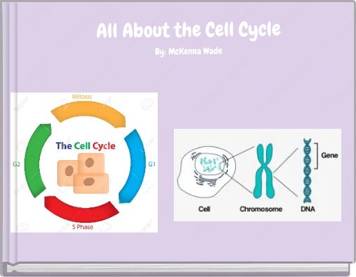 All About the Cell Cycle By: McKenna Wade