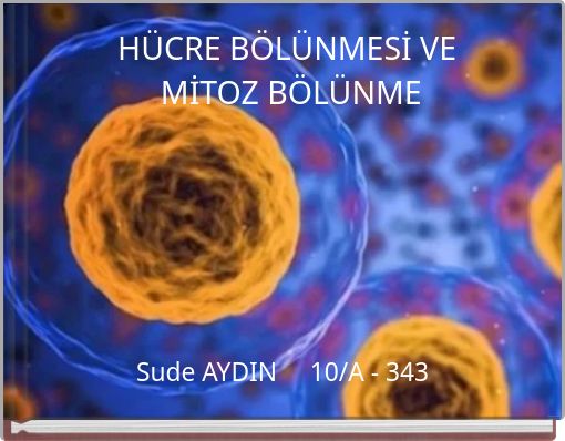 H&Uuml;CRE B&Ouml;L&Uuml;NMESİ VE MİTOZ B&Ouml;L&Uuml;NME
