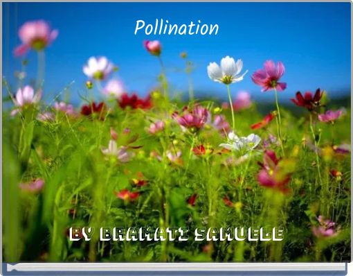 Front cover of 'Pollination' 