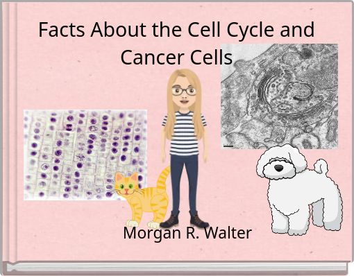 Facts About the Cell Cycle and Cancer Cells