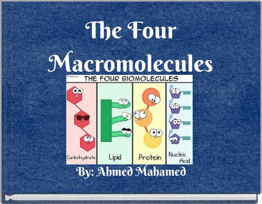 The Four Macromolecules