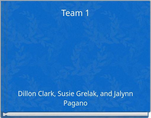 Team 1