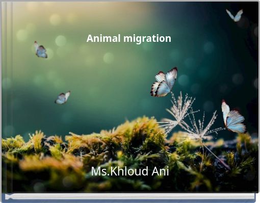 Animal migration