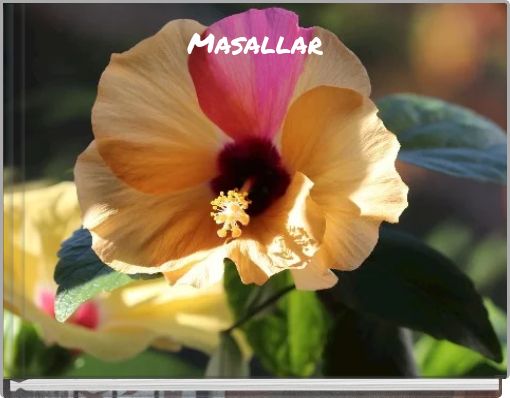 Front cover of 'Masallar' 