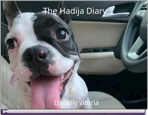 Book Cover for: The Hadija Diary