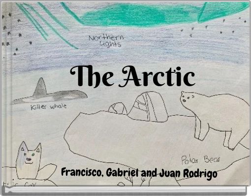 The Arctic