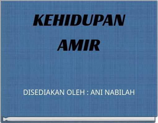 Front cover of 'KEHIDUPAN AMIR' 