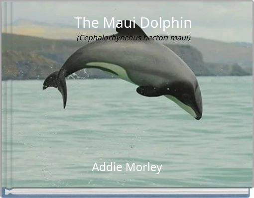 The Maui Dolphin(Cephalorhynchus hectori maui)