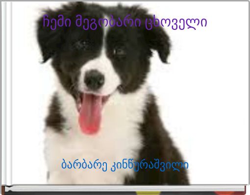 ჩემი მეგობარი ცხოველი