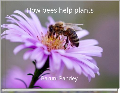 How bees help plants