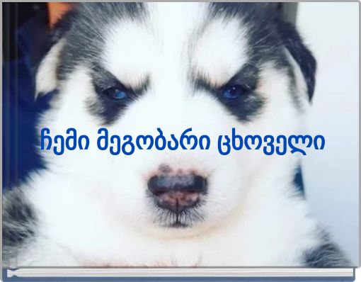 ჩემი მეგობარი ცხოველი