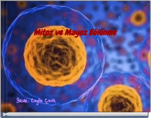 Mitoz ve Mayoz B&ouml;l&uuml;nme