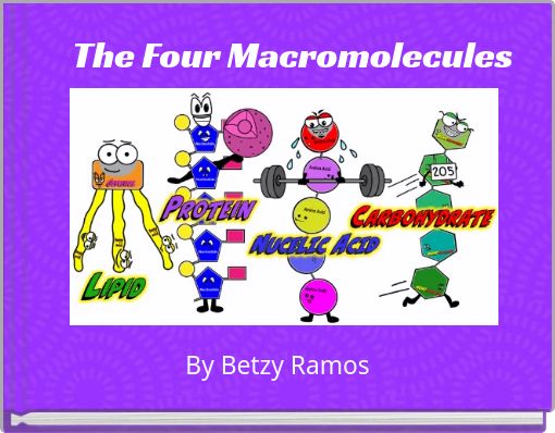 The Four Macromolecules