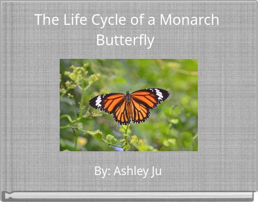 The Life Cycle of a Monarch Butterfly