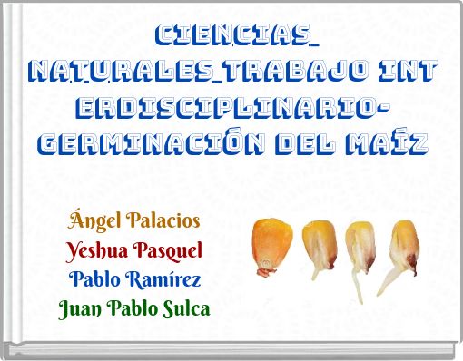 ciencias naturales trabajo interdisciplinario- germinaci&oacute;n del ma&iacute;z