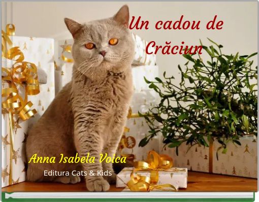 Front cover of 'Un cadou de Crăciun' 