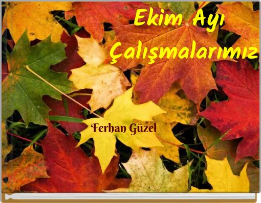 Ekim Ayı Çalışmalarımız
