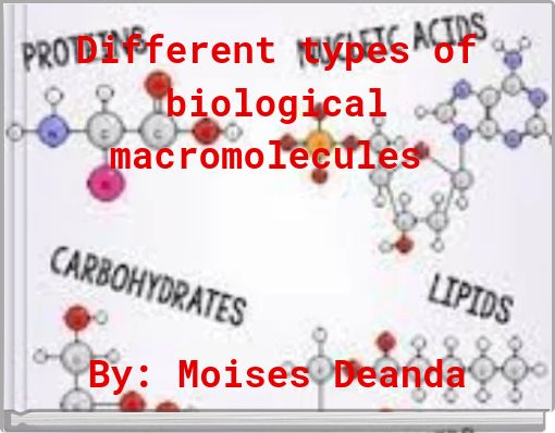 Different types of biological macromolecules