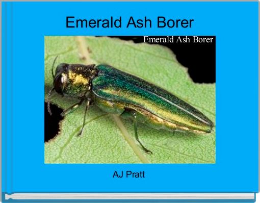 Emerald Ash Borer