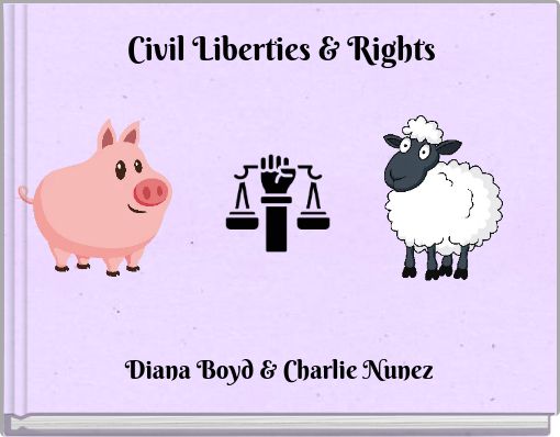 Civil Liberties &amp; Rights