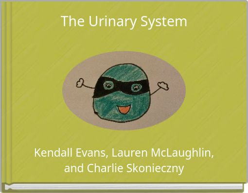 The Urinary System