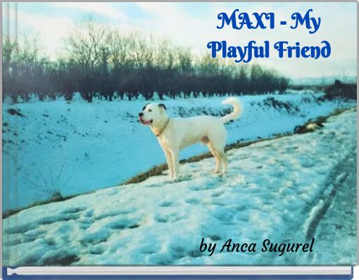 MAXI - My Playful Friend