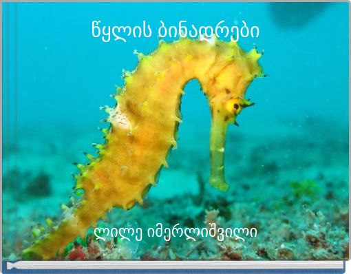 წყლის ბინადრები