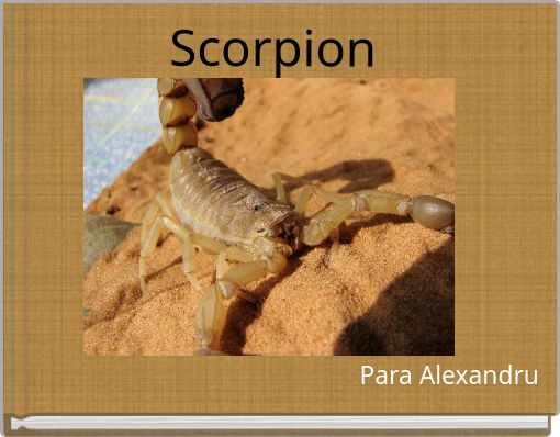 Scorpion