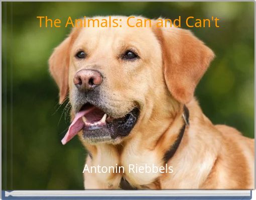 The Animals: Can and Can't