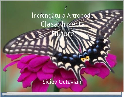 Încrengătura Artropode Clasa: Insecta Fluture