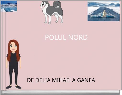 POLUL NORD