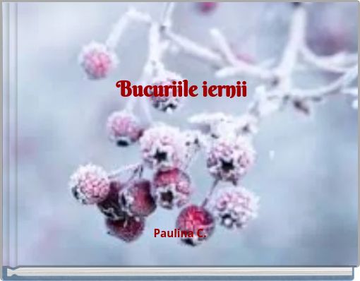 Front cover of 'Bucuriile iernii' 