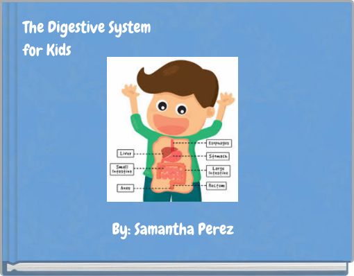 The Digestive System for Kids