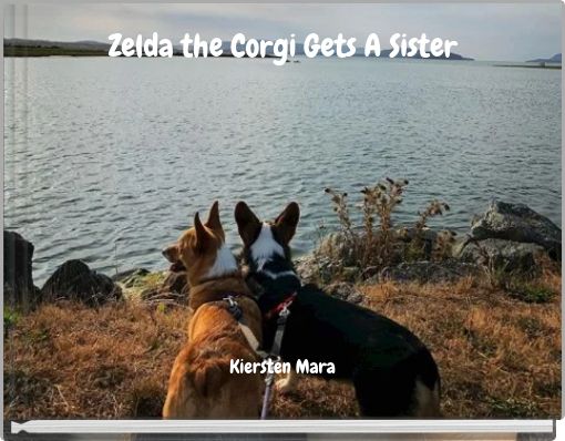 Front cover of 'Zelda the Corgi Gets A Sister' 
