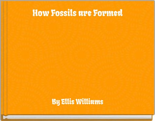 How Fossils are Formed