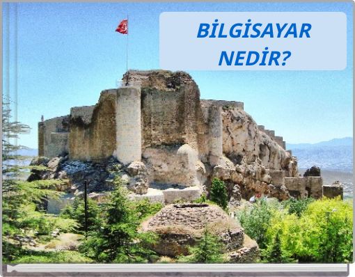 Book Cover for: BİLGİSAYAR NEDİR?