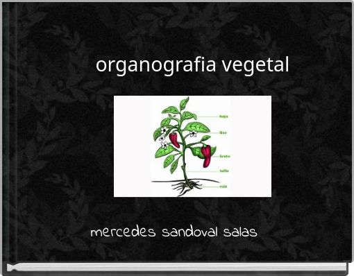 organografia vegetal