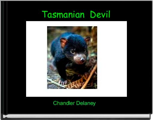 Tasmanian  Devil