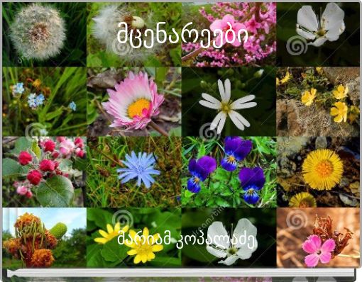 მცენარეები