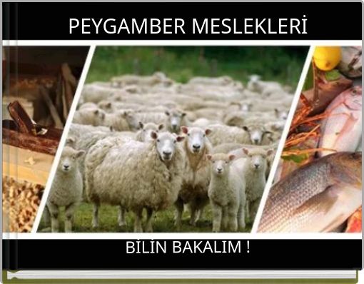 PEYGAMBER MESLEKLERİ