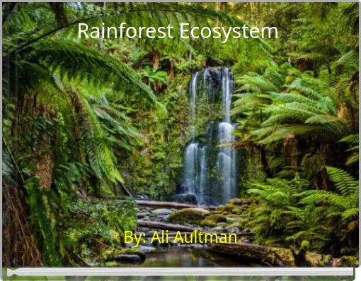 Rainforest Ecosystem