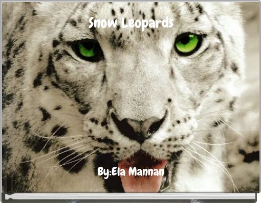 Snow Leopards