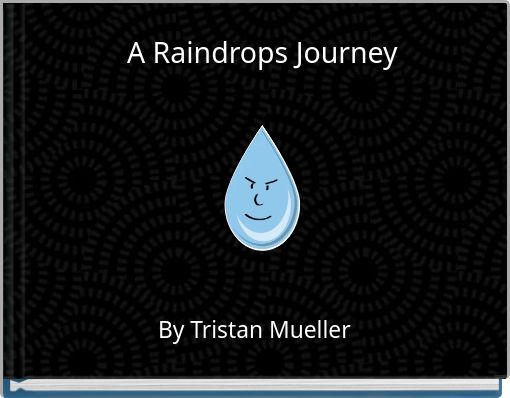 A Raindrops Journey