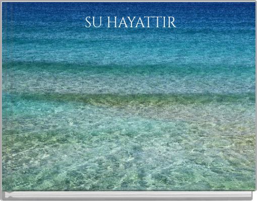 SU HAYATTIR