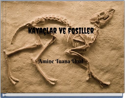 kayaçlar ve fosiller
