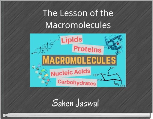The Lesson of the Macromolecules