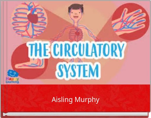 The Circulatory System