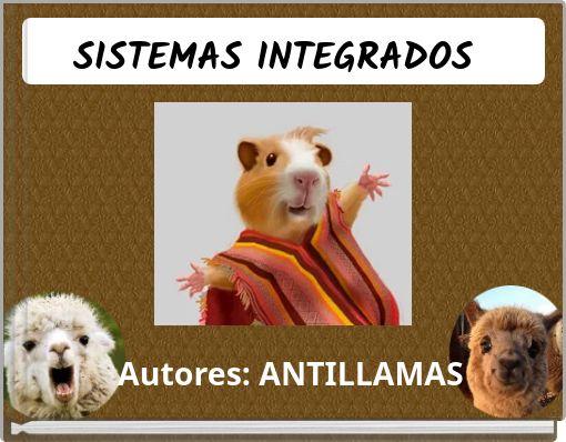 SISTEMAS INTEGRADOSS